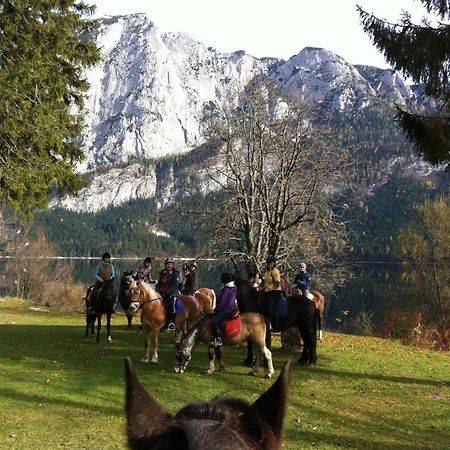 Reitbauernhof Schartner Hotel Altaussee Exterior photo