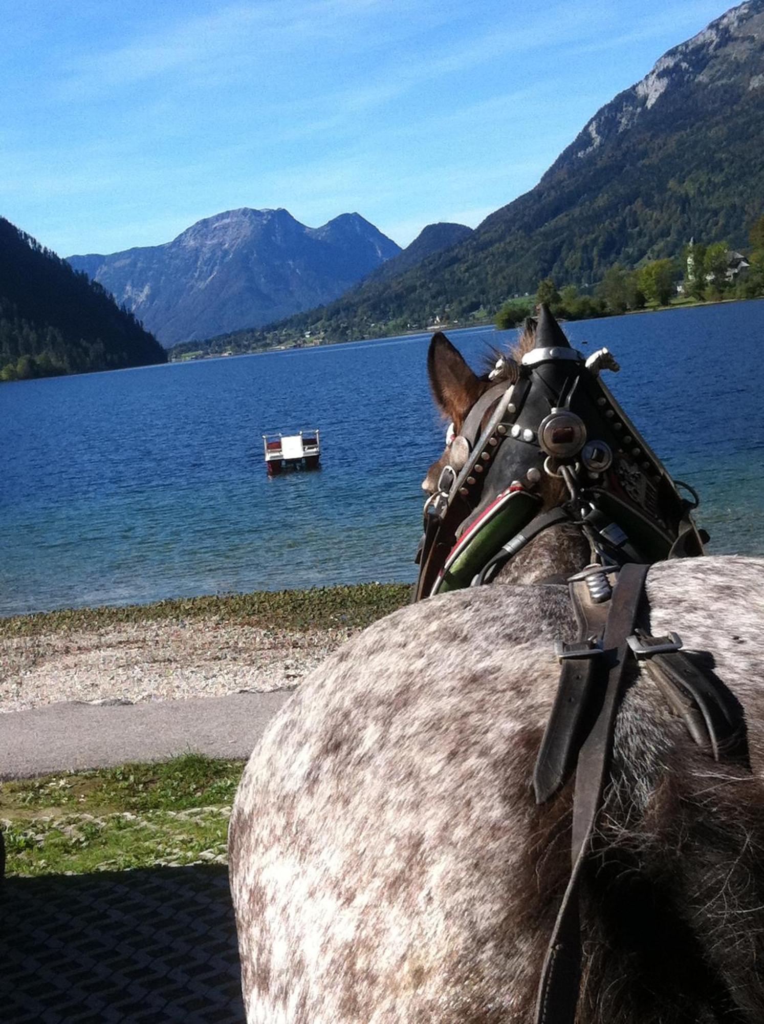 Reitbauernhof Schartner Hotel Altaussee Exterior photo