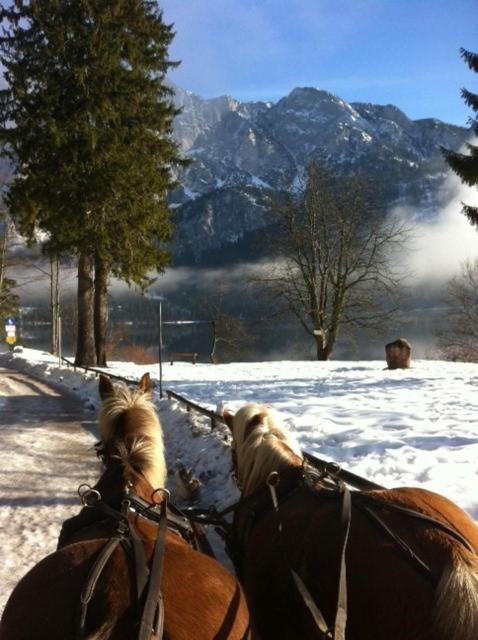 Reitbauernhof Schartner Hotel Altaussee Exterior photo