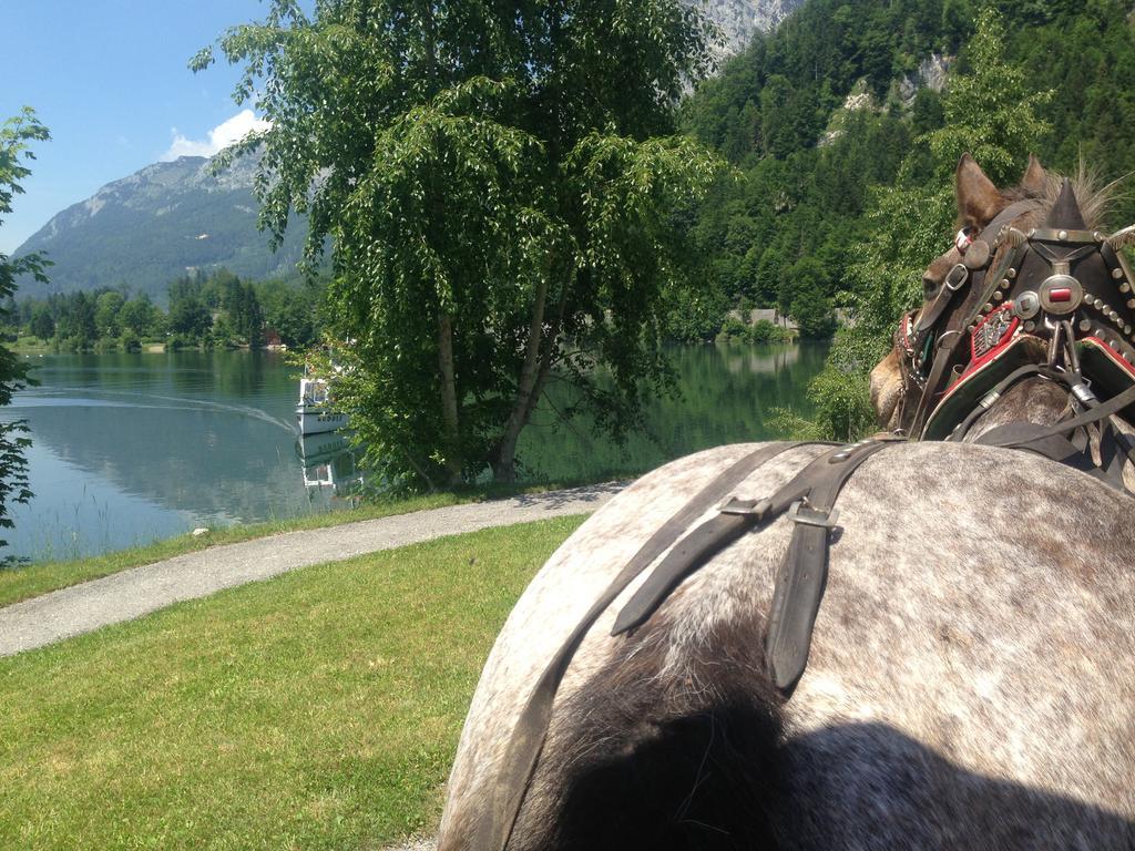 Reitbauernhof Schartner Hotel Altaussee Exterior photo
